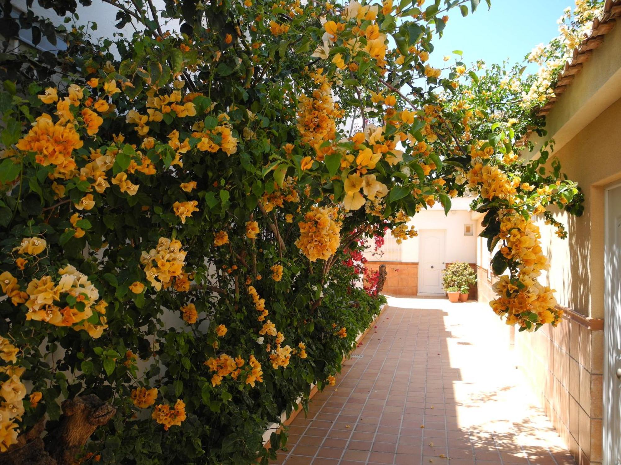 Hostal Playa Punta Umbria Exterior photo